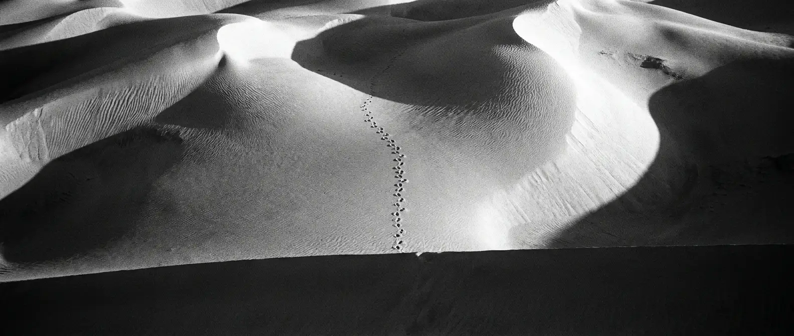 Aerial view of a single set of footprints crossing vast sand dunes, representing AI citation tracking